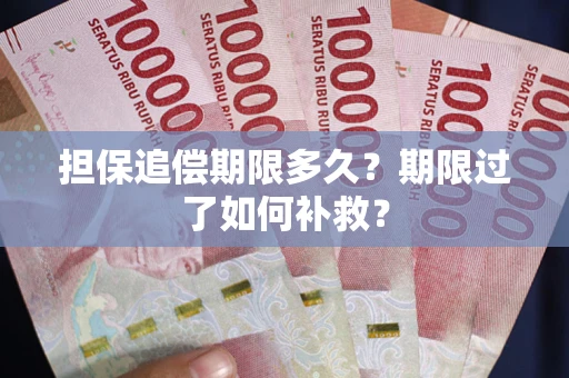 济南担保追偿期限多久？期限过了如何补救？